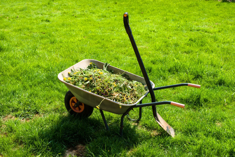 Composting Basics