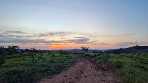 Landschaft Schönheit Brasilien Minas Gerais