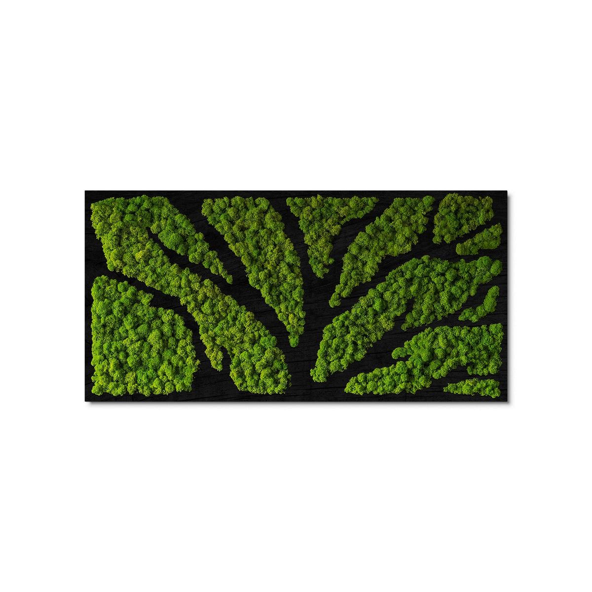 Tree Moss Art – HYPEARTSPACE
