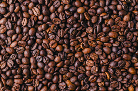 A Brief History on the Coffee Family Tree | Breeze Valley