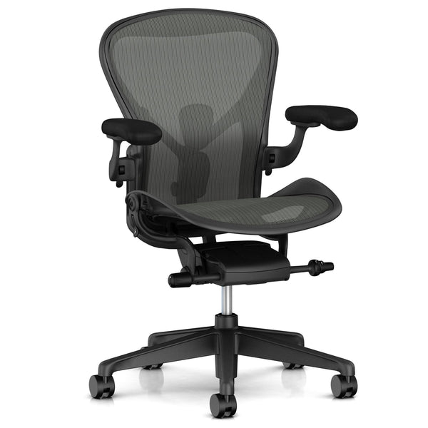 アーロンチェア グラファイト・ポリッシュドアルミニウム Aeron Chair