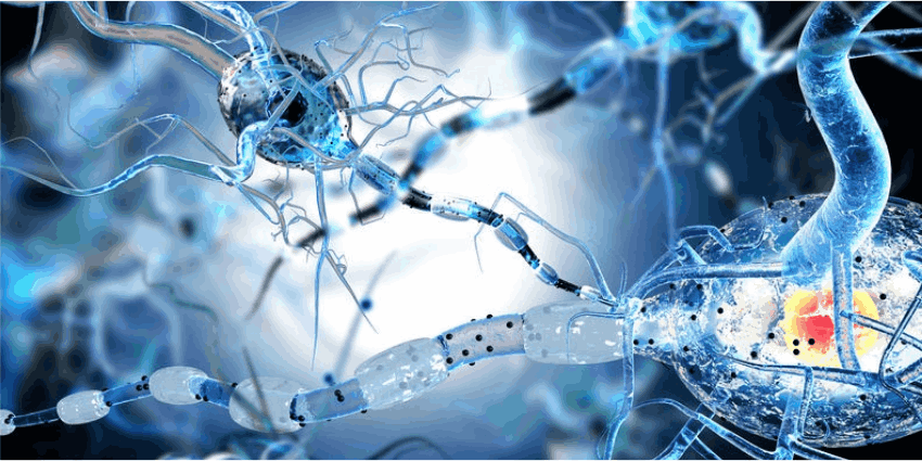 CBDV cannabinoid shares some potential health benefits with CBD. One example is the anticonvulsant properties. 