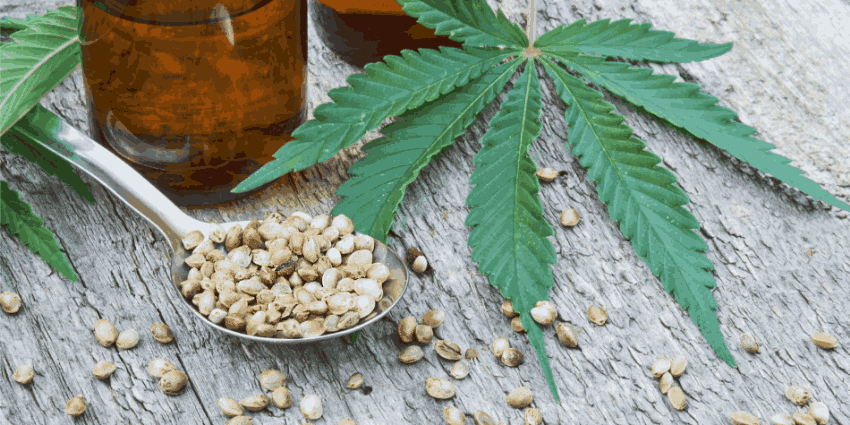 CBD tincture for anxiety works by interacting with the body's endocannabinoid system. 