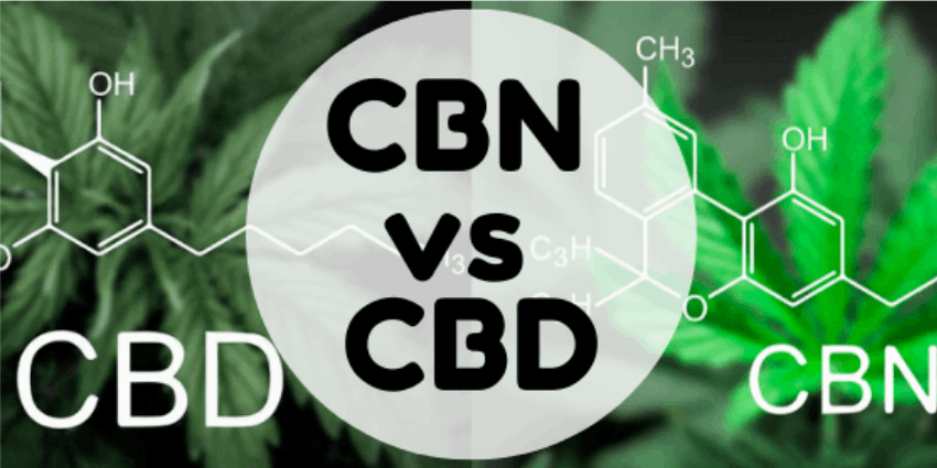 Almost every CBD product, such as CBD CBN oil or CBD & CBN oil, originates from hemp. Growing CBN is legal since it has less than 0.3 THC. A variety of food products are good sources of CBD. 