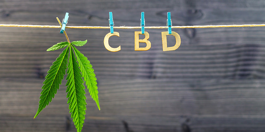 CBD and hemp leaf concept. CBD+CBDV for energy boosts. Buy CBDV gummies and CBD+CBDV tincture online USA.