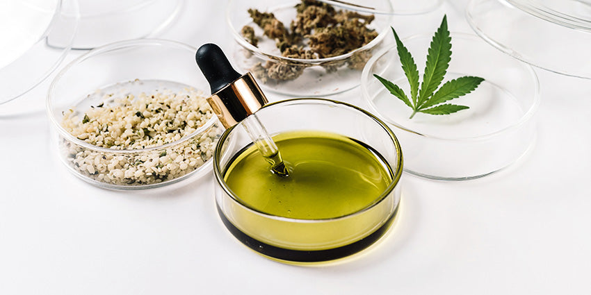 Hemp oil and CBD oil for anxiety and stress relief. Buy CBD oil for anxiety USA.