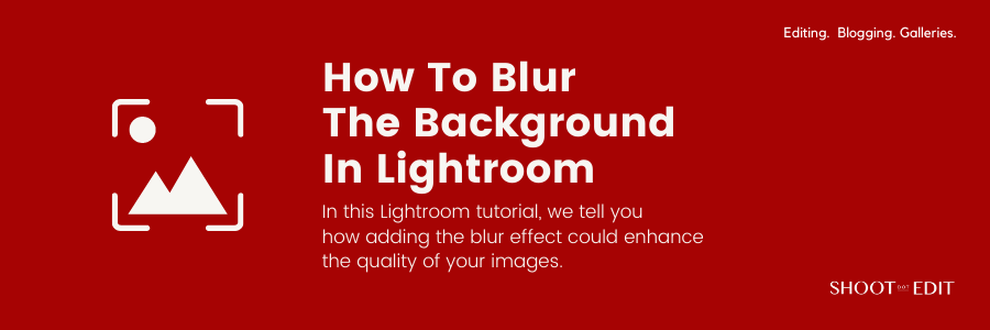 How To Blur The Background In Lightroom – ShootDotEdit