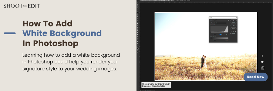 How To Add White Background In Photoshop – ShootDotEdit