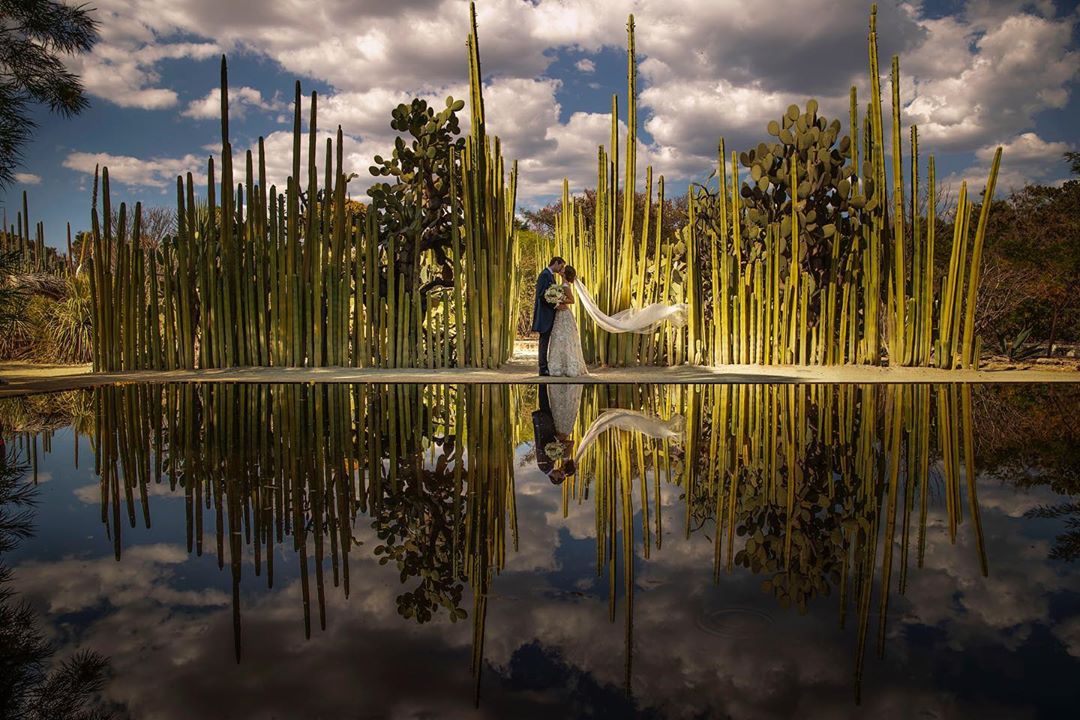 a couple standing infront of some cactus beside a lake