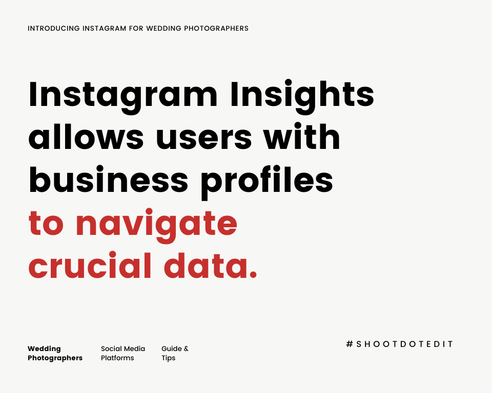 infographic stating Instagram Insights allows users with business profiles to navigate crucial data