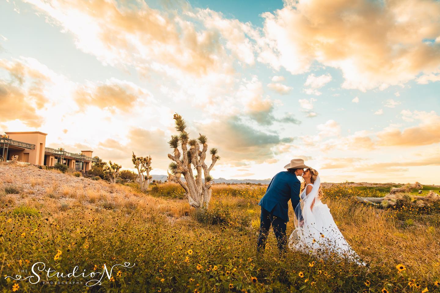 a wedding couple kissing on a meadow with beautiful sky