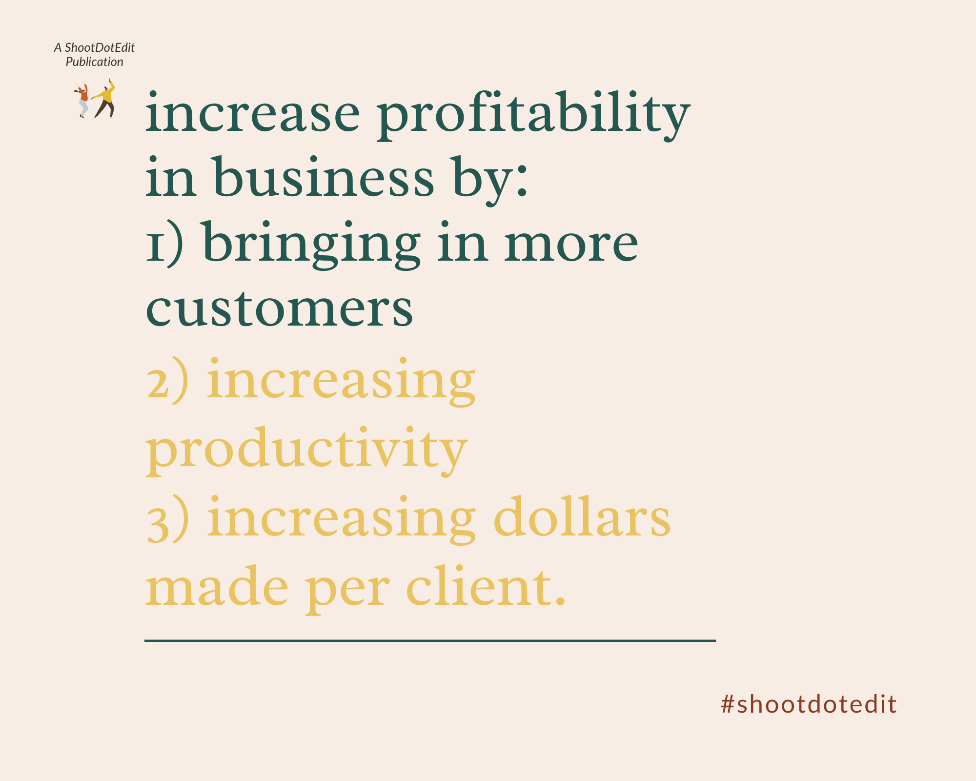 Infographic stating increase profitability in business by bringing in more customers, increasing productivity, and increasing dollars made per client