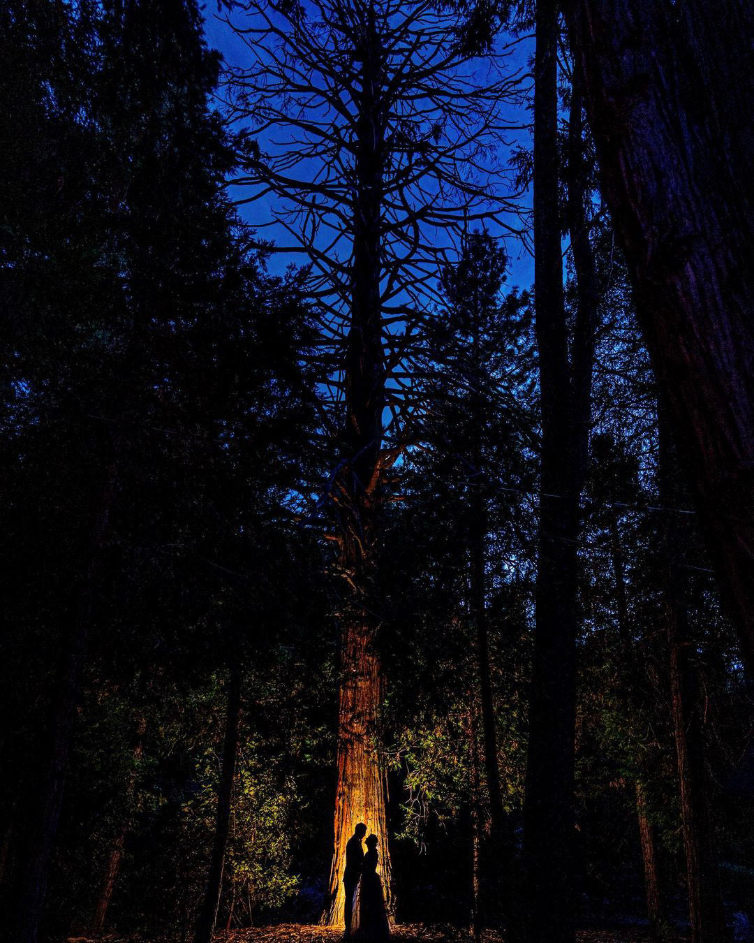 silhouette of a couple standing in the middle of the woods in front of a campfire