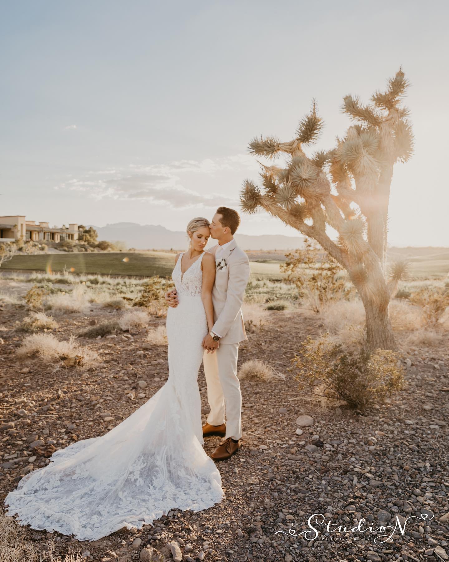 a groom kissing the bride's forehead standing on a desert like land beside a cactus