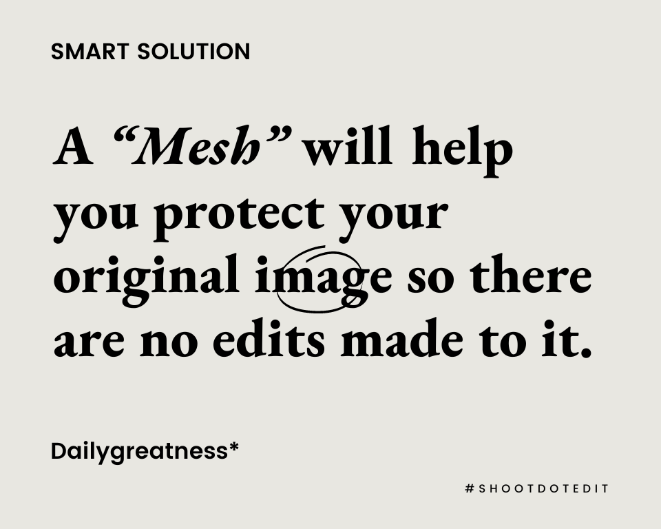 infographic stating a mesh will help you protect your original image so there are no edits made to it