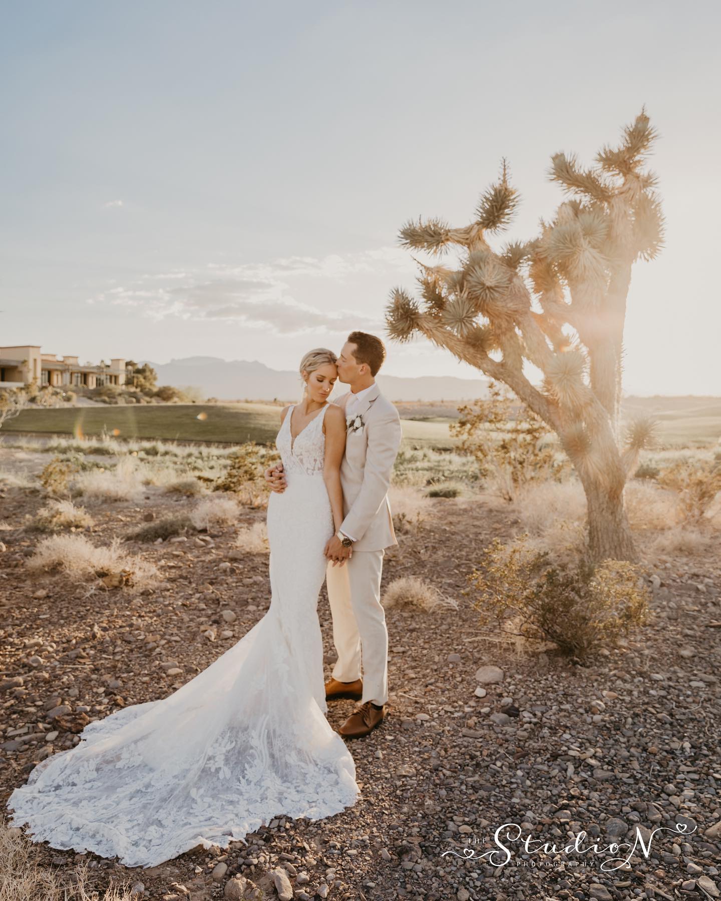 Sarah and Joseph's Tuscan Rose Vineyards wedding - Sarah Hedden Photography