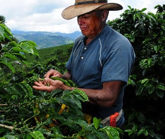Commitment with coffee producers