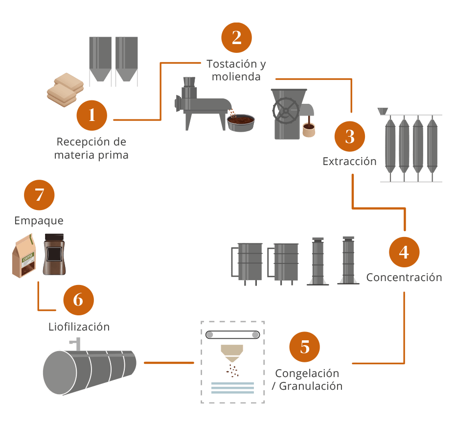 Ilustración del proceso de producción de café liofilizado