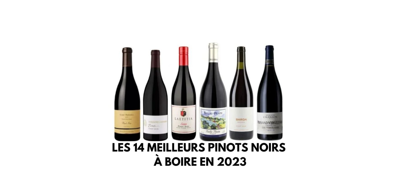 Les 14 Meilleurs Pinots Noirs à Boire en 2023 Univers Des Verres