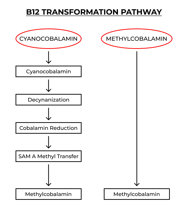 methylcobalamin vs cyanocobalamin which is better