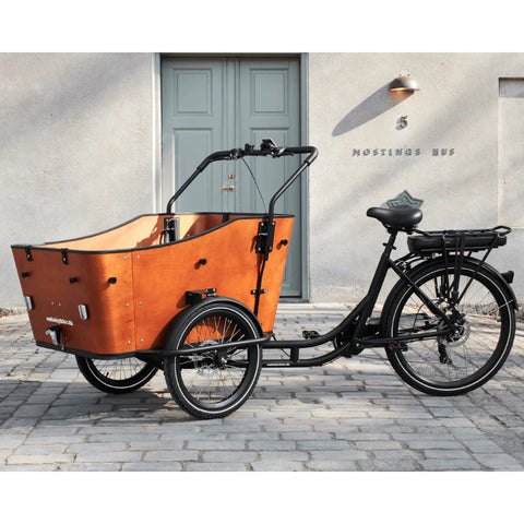 Amcargobikes Ultimate Harmony Tadpole Cargo Electrc Tricyle | Pedal and Chain