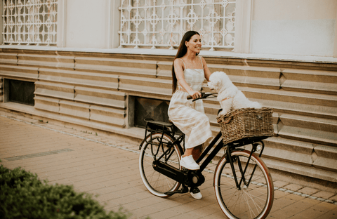 Electric Bikes for Adults UK | Pedal and Chain