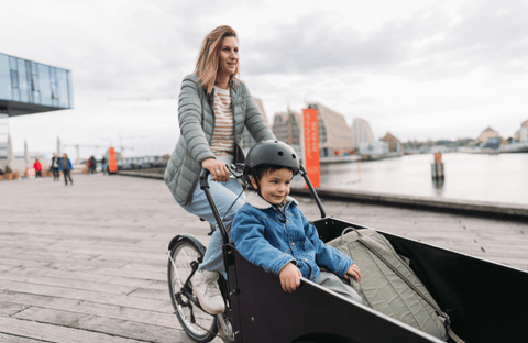 Best Cargo Electric Bikes UK