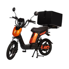 Eskuta SX-250d Electric Bike | Pedal & Chain | Best Electric Bike For Delivery