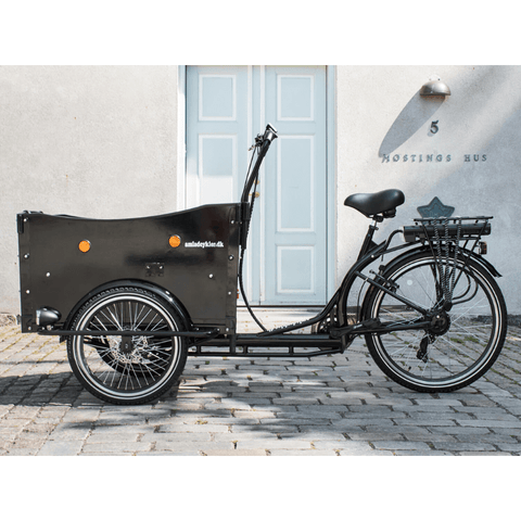 Electric Bikes for Disabled Adults | Pedal and Chain