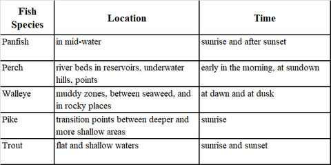 What is the most common fish to catch while ice fishing?