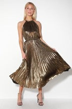 Velvet Golden Dress