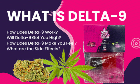 What is Delta-9?