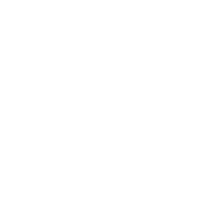Plant based recipe