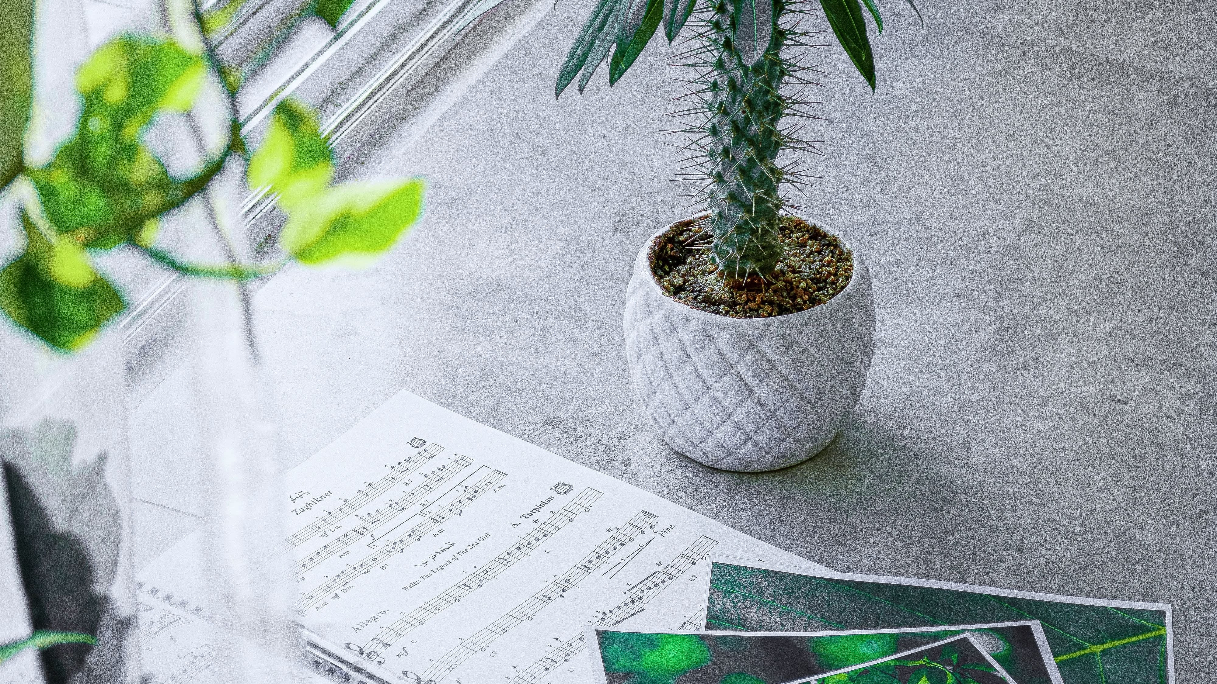 Best Florist Sydney Best Florist Sydney