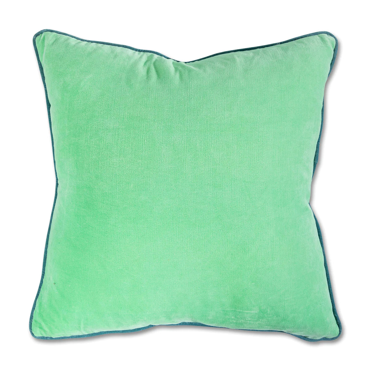 Charliss Velvet Pillow, Mint + Aqua