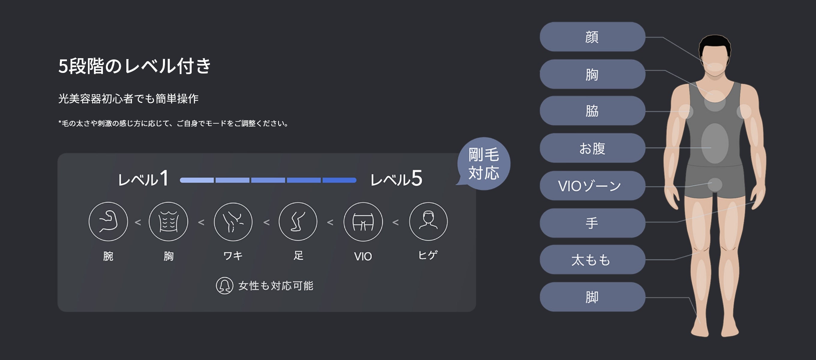 5段階のレベル付き