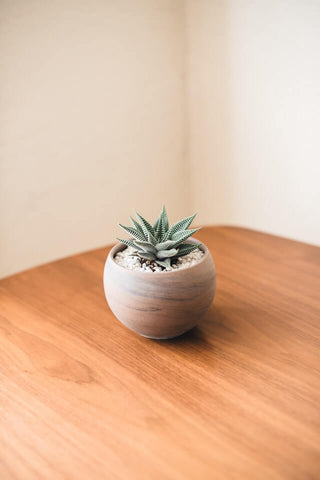 Clay pot for flower arrangement