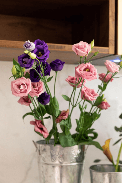 fresh flower arrangement