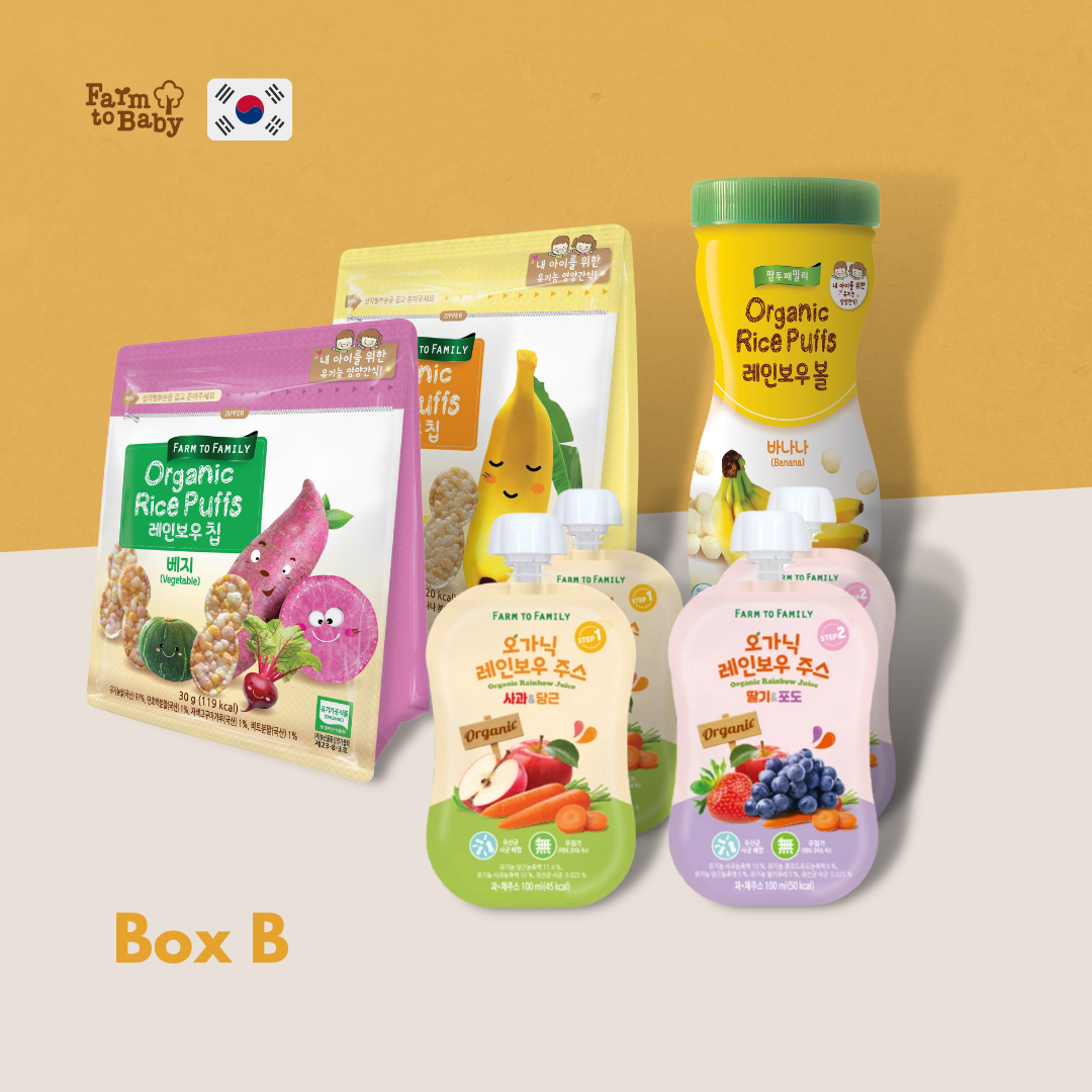 FarmToBaby Baby Snack Box B
