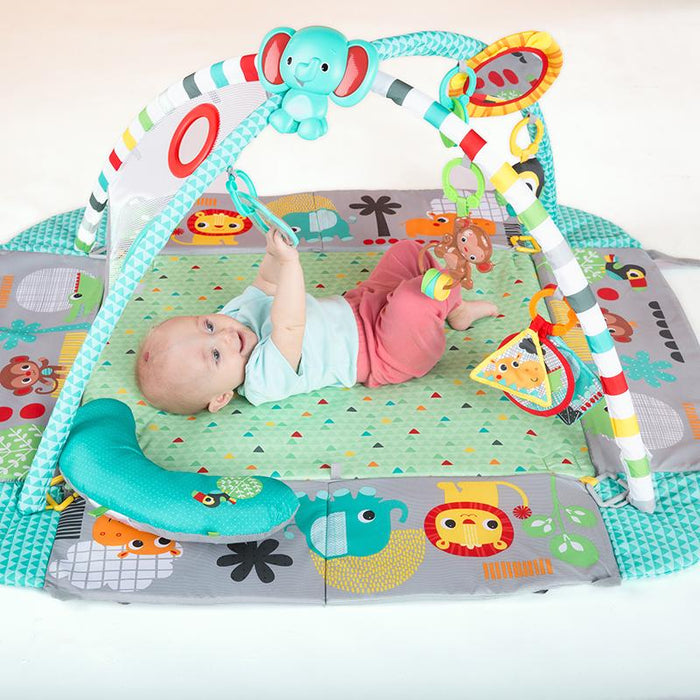 bright star 5 in 1 activity gym