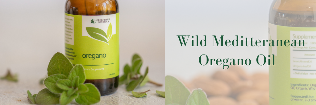 Greenfield Botanics Wild Mediterranean Oregano Oil oil of oregano safe to consume does oregano oil work