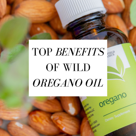 Top benefits of wild oregano oil