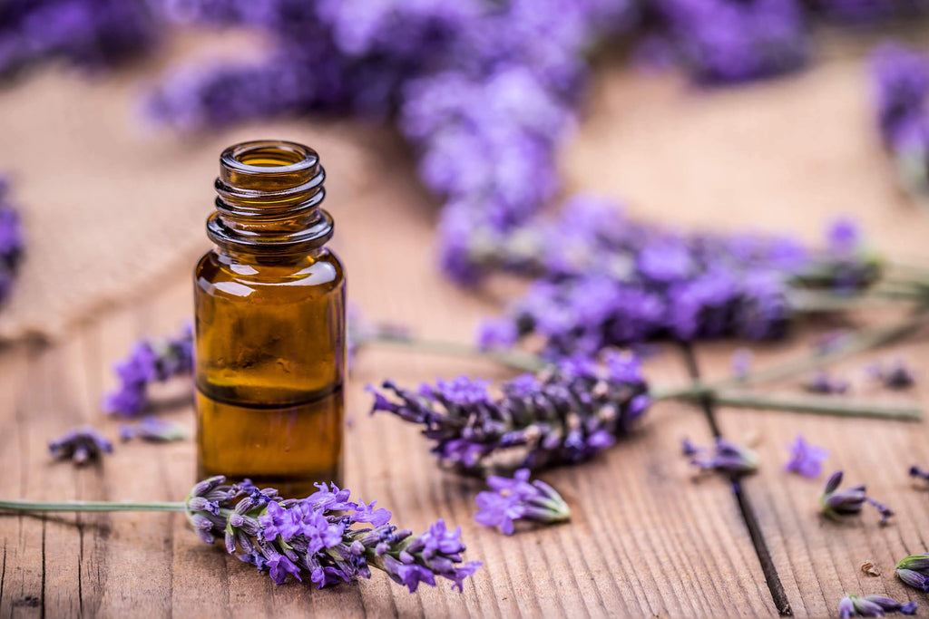 Lavender Oil Benefits for Skin