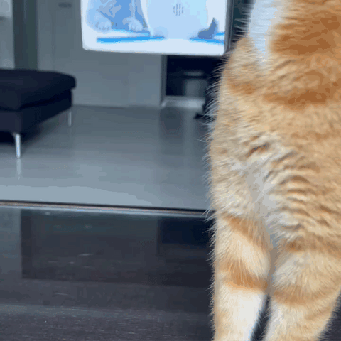 Miaou Deluxe™️ - Jouet interactif pour chat – Miaou France