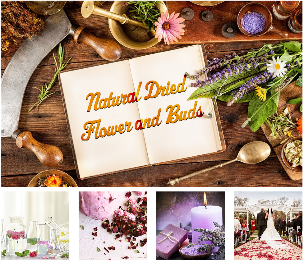 Natural Dried Flowers Widely Use