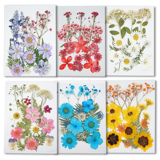 Real Dried Flower, Floral Kit for DIY Resin Jewelry – IntoResin