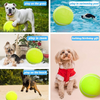 Giant Play Ball™️ | Laat je hond helemaal losgaan! (Incl. GRATIS pomp t.w.v. €14.95)