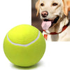 Giant Play Ball™️ | Laat je hond helemaal losgaan! (Incl. GRATIS pomp t.w.v. €14.95)