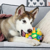 (1+1 GRATIS) Dundle™️ | De interactieve snuffelbal voor honden