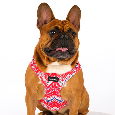 LV Original  Adjustable Mesh Harness™ – Willow's Pet Palace